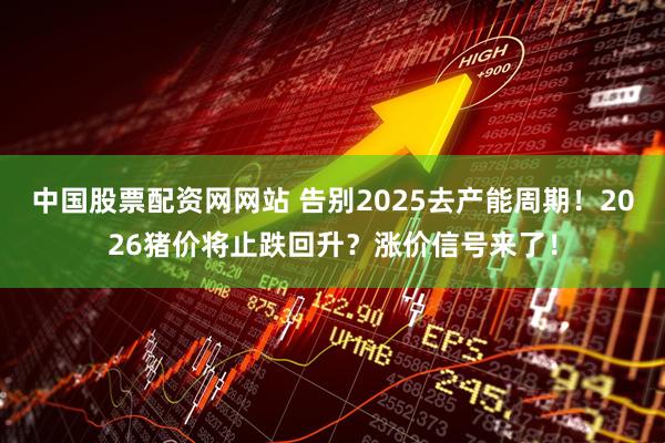 中国股票配资网网站 告别2025去产能周期！2026猪价将止跌回升？涨价信号来了！