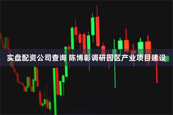 实盘配资公司查询 陈博彰调研园区产业项目建设